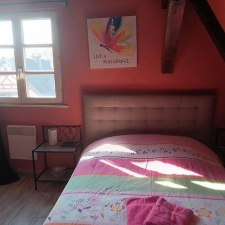 Gîte Les papillons Ribeauvillé Extérieur photo