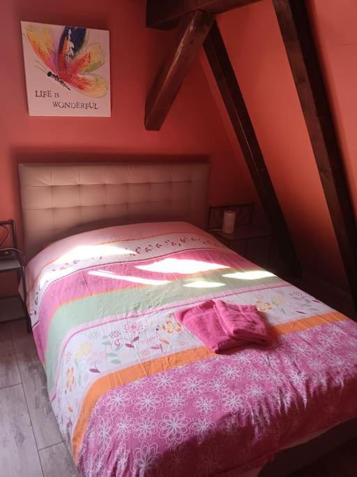 Gîte Les papillons Ribeauvillé Extérieur photo