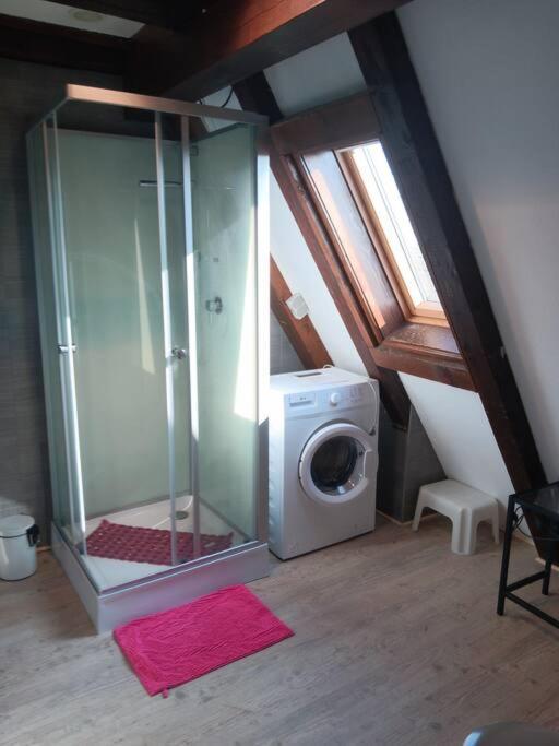 Gîte Les papillons Ribeauvillé Extérieur photo