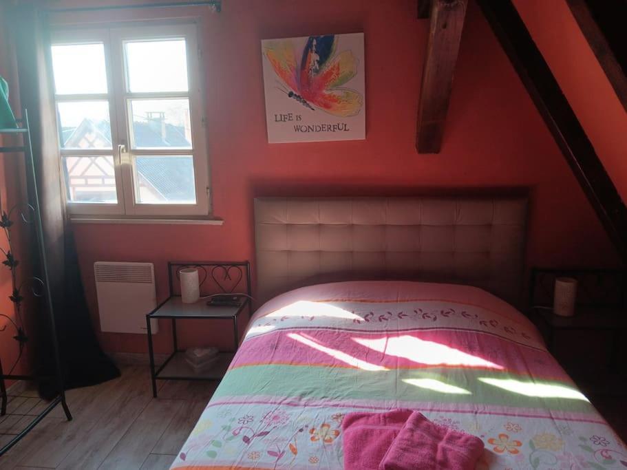 Gîte Les papillons Ribeauvillé Extérieur photo