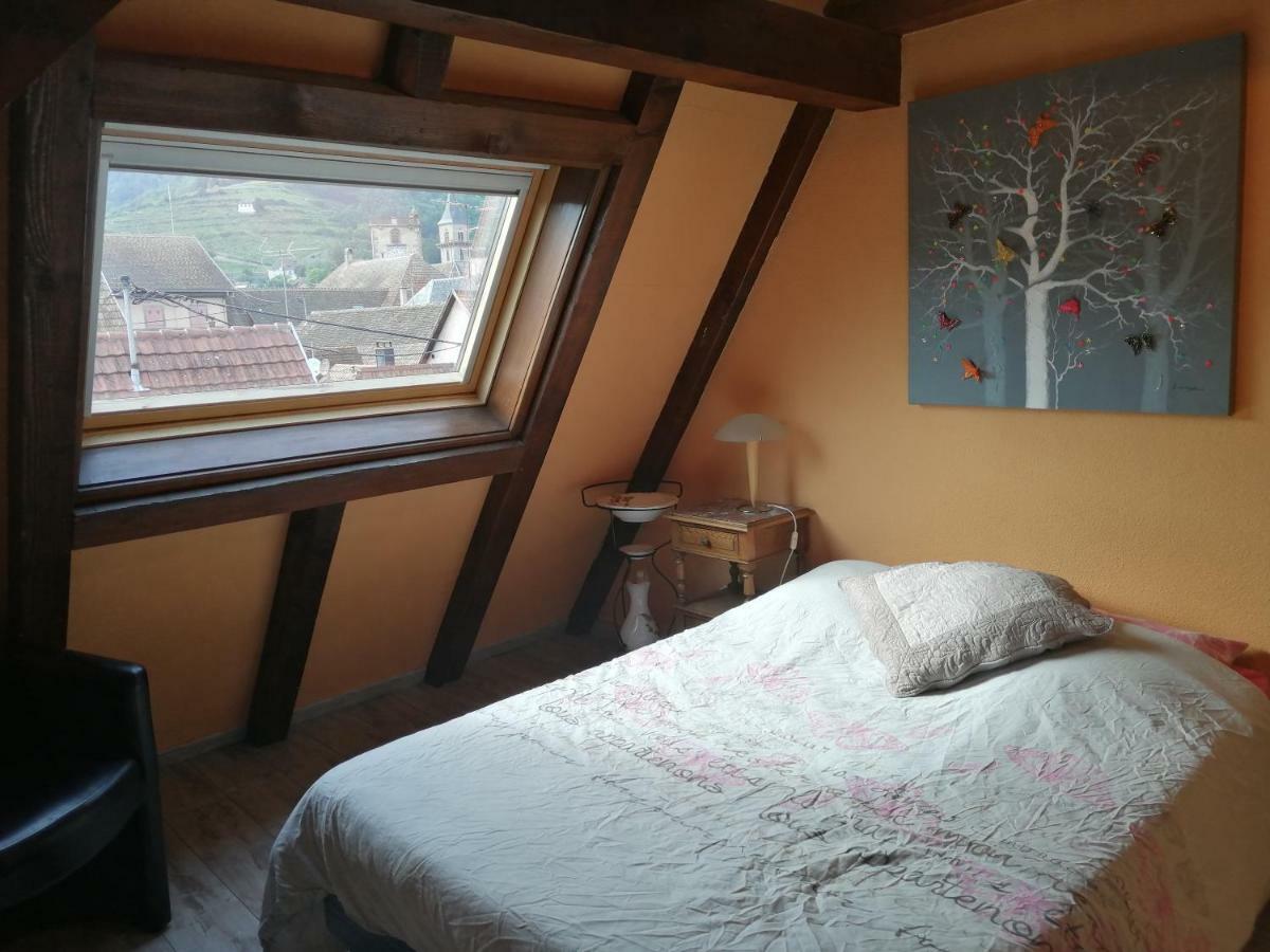 Gîte Les papillons Ribeauvillé Extérieur photo