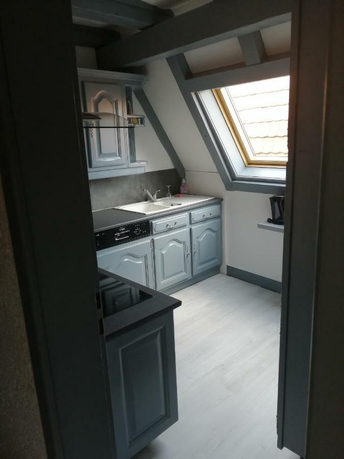 Gîte Les papillons Ribeauvillé Extérieur photo